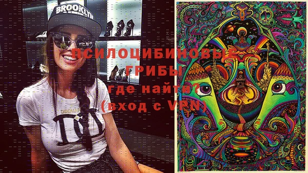 гашик Абдулино