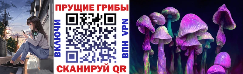 Псилоцибиновые грибы GOLDEN TEACHER  дарк нет состав  Адыгейск  kraken tor 
